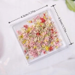 Suszone kwiaty na paznokcie ozdoby naturalne jesienne kolorowe drobne S-1