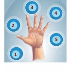 Płyn do dezynfekcji Sterillhand 500ml z pompką preparat bakteriobójczy