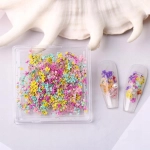 Suszone kwiaty na paznokcie ozdoby naturalne jesienne kolorowe drobne S5