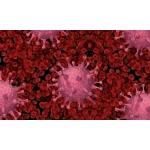 Płyn do dezynfekcji powierzchni Alpinuseptol Neutral 1l + SPRYSKIWACZ